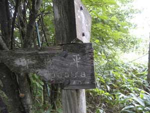 ����̕W��