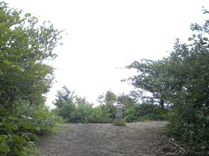 �@�ȎR�ɓ����`�`�H