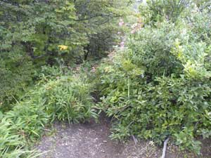 ������̕��֌����Ă݂�Ɓ`