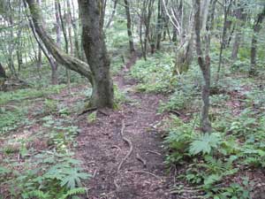 �}�������`