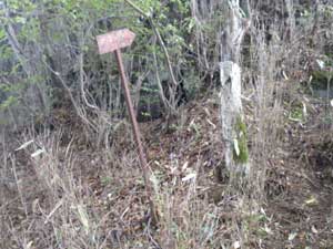 ���q��̓��̕W��