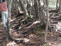 ���������ɐi��