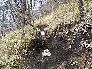 �R�̌X�΂ɑ΂��Ď΂߂ɐi��