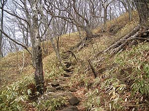 �����̒P���ȓ�