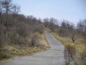 �R���w����R���ւ̓�