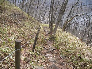 �����̓o�R���B