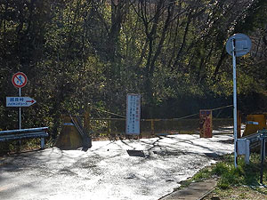 �����ܑ̕��H