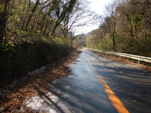 旧道の舗装路