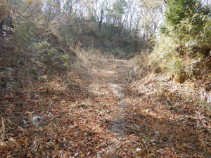 �ѓ��̔p��