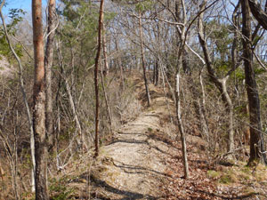 �W������̓o�R���B