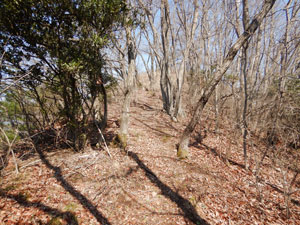 標識からの登山道。
