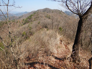 �s�[�N����̓o�R���B