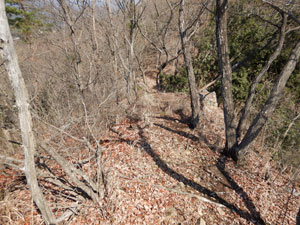 3�߂̃s�[�N����̓o�R��