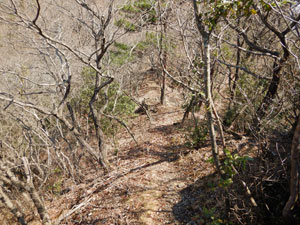 4つめのピークからの登山道