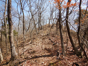 4つめのピークからの登山道