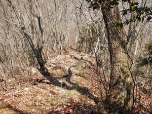 5つめのピークからの登山道。