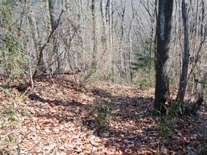 標識からの登山道。