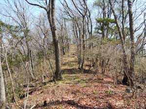 標識からの登山道。
