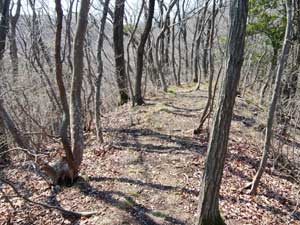 �W������P�ڂ̃s�[�N