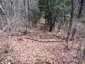 �P�ڃs�[�N����̓o�R��