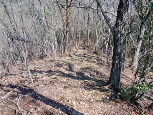 2�ڂ̃s�[�N����̓o�R��