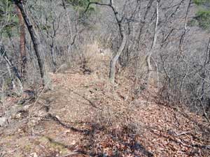 3�ڂ̃s�[�N����̓o�R��