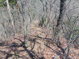 4�ڂ̃s�[�N����̓o�R��