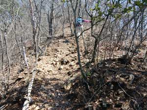 5個目のピーク?の登山道。