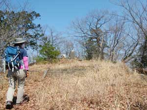 ���̕�R��(317m)