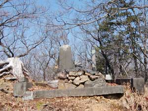 ���̕�R��(317m)