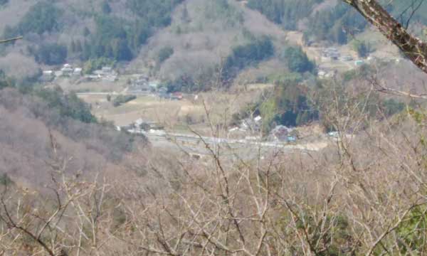 山頂からの眺め