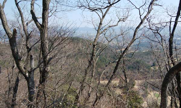 山頂からの眺め