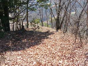 �R������̓o�R���B