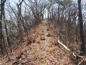 山頂からの登山道