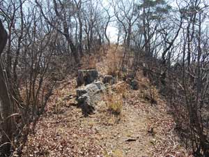 山頂からの登山道