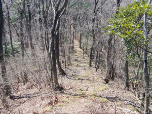 山頂からの登山道