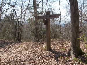 ����(���蔪���{)