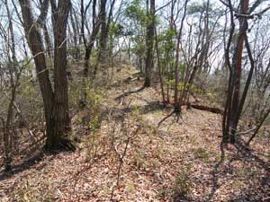 分岐からの登山道