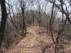 分岐からの登山道