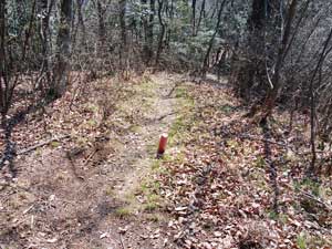その後の登山道