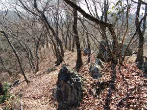 その後の登山道