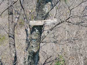 岩の露出したピーク