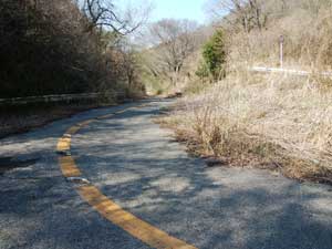 �A�X�t�@���g�̓�