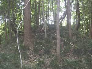 �`�F�[���̒���ꂽ��