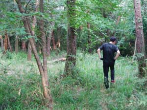 ��������߂���