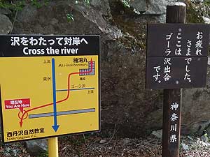 �S�[����o��