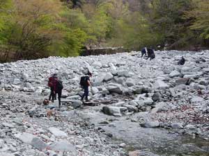 �S�[����