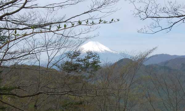 �W�]���n����̒��߁B