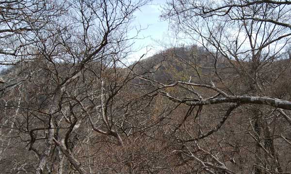 �x���`�̂���ꏊ����̒���