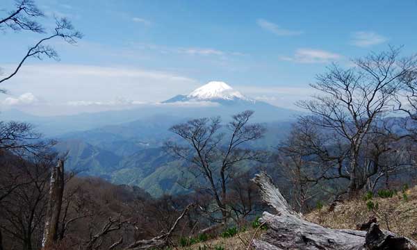 ���̕ӂ肩��̒��߁B